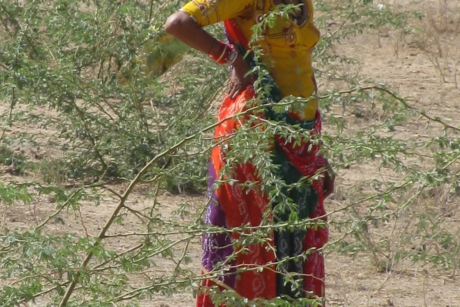 Bishnoi Village Safari