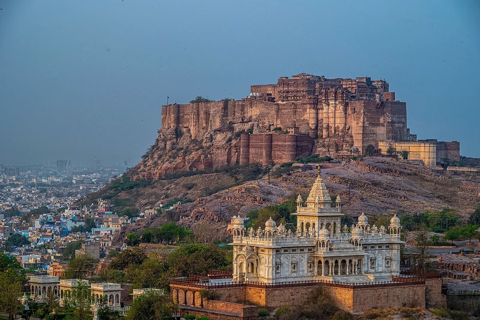 Flying Fox Jodhpur