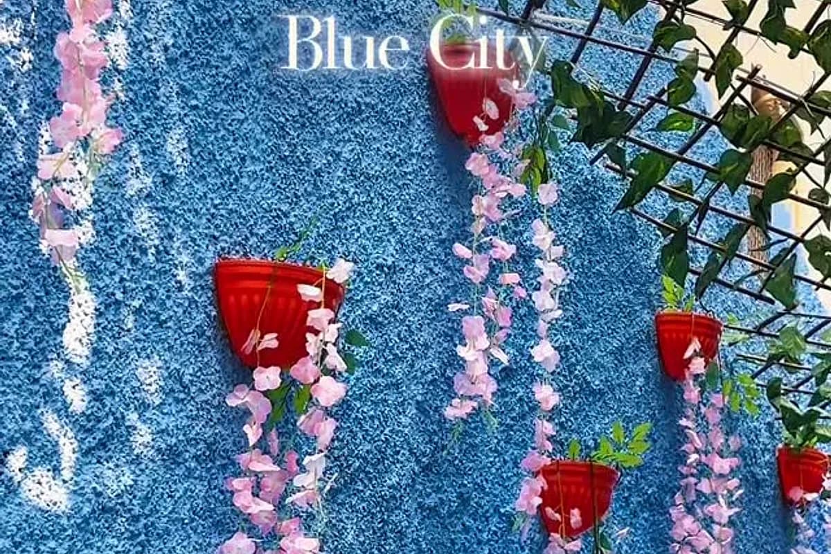 Blue City Heritage Walk