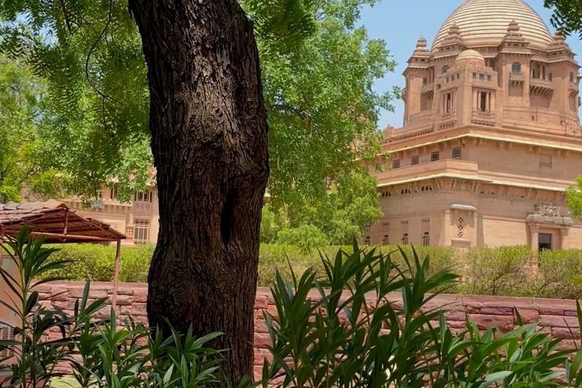 Umaid Bhawan Palace, Jodhpur